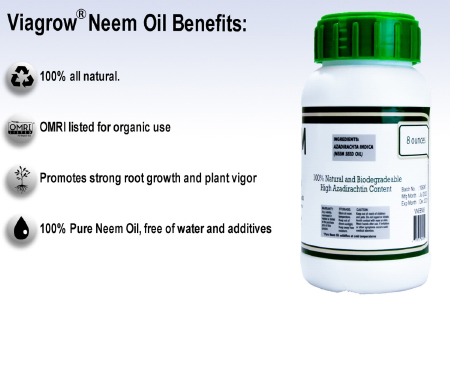 G125 VNEEM3215